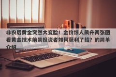 非农后黄金突然大变脸！金价惊人飙升两张图看黄金技术前景投资者如何获利了