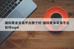 国际黄金交易平台那个好-国际黄金交易平台软件mp4