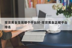 现货黄金交易那个平台好-现货黄金正规平台排名