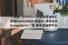 一张图：2024/02/20黄金原油外汇股指&amp;quot;枢纽点+多空占比&amp;quot;一览