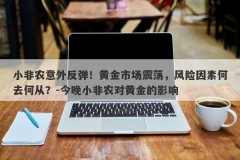 小非农意外反弹！黄金市场震荡，风险因素何去何从？-今晚小非农对黄金的影