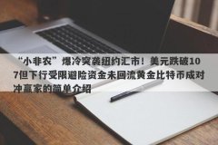 “小非农”爆冷突袭纽约汇市！美元跌破107但下行受限避险资金未回流黄金比特