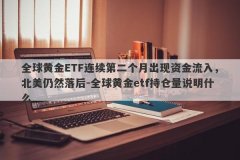 全球黄金ETF连续第二个月出现资金流入，北美仍然落后-全球黄金etf持仓量说明