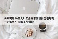 白银突破30美元！工业需求回暖能否引爆新一轮涨势？-白银工业消耗