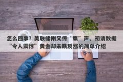 怎么回事？美联储刚又传“鹰”声、初请数据“令人震惊”黄金却未跌反涨的简