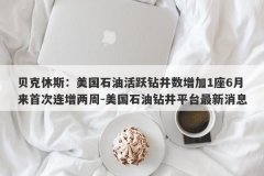 贝克休斯：美国石油活跃钻井数增加1座6月来首次连增两周-美国石油钻井平台最