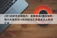 6月5日欧市支撑阻力：金银原油+美元指数等六大货币对-6月份欧元汇率是多少人