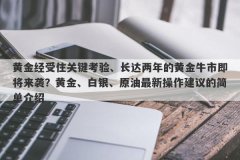 黄金经受住关键考验、长达两年的黄金牛市即将来袭？黄金、白银、原油最新操