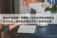 黄金投资晨报：特朗普一句话引燃美元跌势金价又拉升、技术面却暗示不妙？的