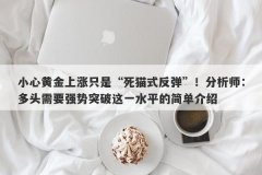 小心黄金上涨只是“死猫式反弹”！分析师：多头需要强势突破这一水平的简单